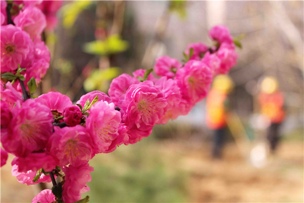 首页| 鸿运国际集团官网接待你登录