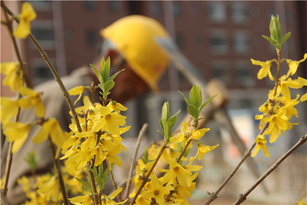 首页| 鸿运国际集团官网接待你登录